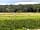 Hacking Hall Farm Camping