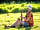 Out to Grass: One of our campers playing beautiful music