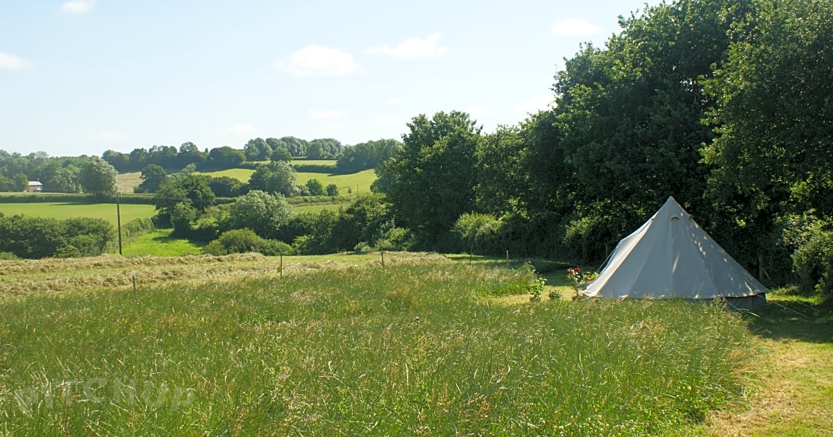 Pineapple Farm Holidays, Bridport Pitchup®