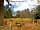 Small Trees Campsite: Meet the neighbours