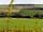 Goose Pasture Farm (фото добавлено менеджером 21.04.2023)