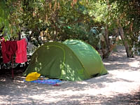 Shaded site Shaded site