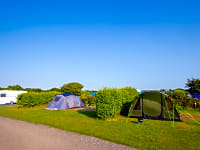 Electric grass pitches Electric grass pitches