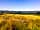 Micklefield Cottage: A view from Castlemorton common towards the Malverns