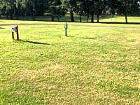 Pitches Pitches
