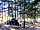 Camping Le Matin Calme: Camping field surrounded by trees
