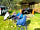 Willow Acres Campsite: Enjoying the sun (photo added by manager on 02/05/2022)