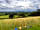 Field 725 Eco Camping and Glamping: Views from the campsite.
