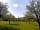 Orleton Court Farm