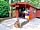 Somers Wood Caravan Park: Reception