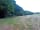 Warbleton Farms Campsite: Pitches with dedicated campfire area in the woods