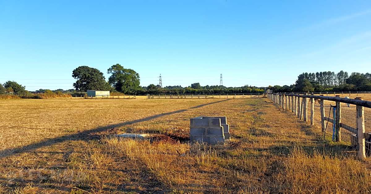 Snooks Farm Alpacas, Ferndown