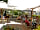 SunLodge at Camping Valkanela (Foto hochgeladen vom Platzbetreiber am 14.04.2021)