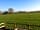 Bluebell Farm: View from the hut