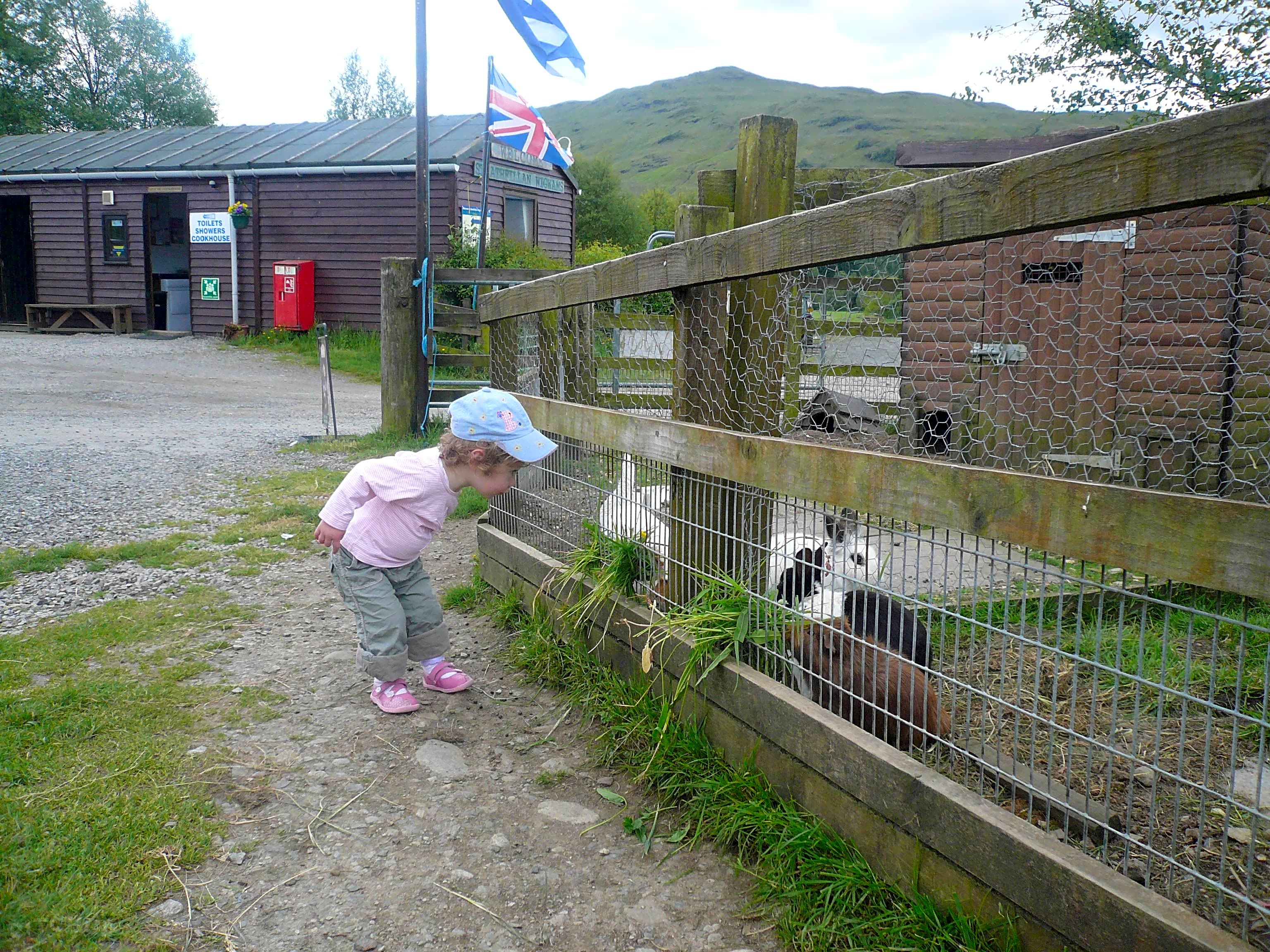 Strathfillan Wigwams  Tyndrum Pitchup  