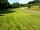 Cwmsoar Camping: Camping field