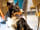Newperran Holiday Park: The Hillview bar & eatery - dog-friendly