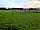 Newton Brook Caravan and Camping: Enclosed dog run