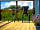 The Sleeping Shepherd: The decking (photo added by manager on 10/06/2019)