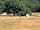 Clarefield Copse Wild Camping: Campsite (photo added by  on 27/07/2020)