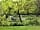 Camping La Nizière: Peaceful woodland pitches