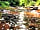 Rhydywernen Farm Camping Site