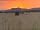 Highland Gateway Glamping and Caravanning: Sunset seen from the site