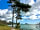 Treacle Valley Campsite: English Riviera (photo added by manager on 07/06/2022)