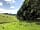 Brown Moor Farm: View to Acklam (photo added by manager on 14/07/2021)