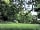 Redwood Valley - Woodland Cabin and Yurts: Peaceful setting by the brook (photo added by manager on 10/07/2018)