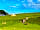 Ty Bach Holidays: Summer’s View bell tent (photo added by manager on 19/04/2023)
