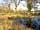 Haw Wood Caravan Park: Our Bee Hives near the Hemp Pond