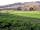 Church Farm Camping