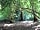 Sandy Balls Holiday Village: Lovely forest setting, ideal for walking and exploring.