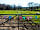 Hamperley Hideaways: The camping field (photo added by manager on 09/01/2023)