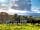 Ashcombe Woodland Campsite: Cows