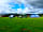 Bwch Yn Uchaf Camping and Caravanning Park (фото добавлено ReddingDarling 23.08.2015)