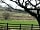 Primrose Cottage Camping