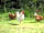 Moss Side Farm Campsite