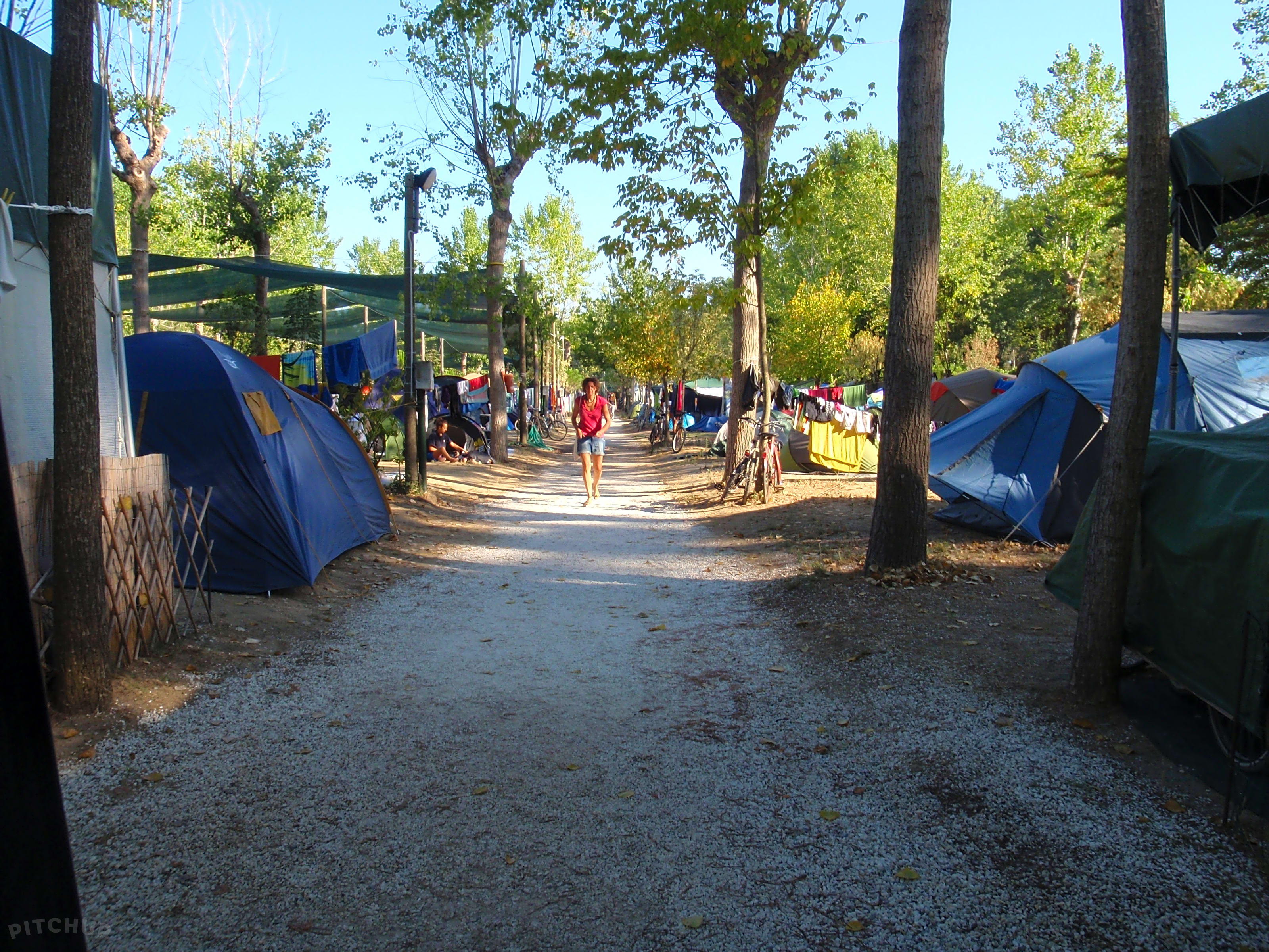 Camping Bosco Verde, Viareggio Updated 2021 prices Pitchup®