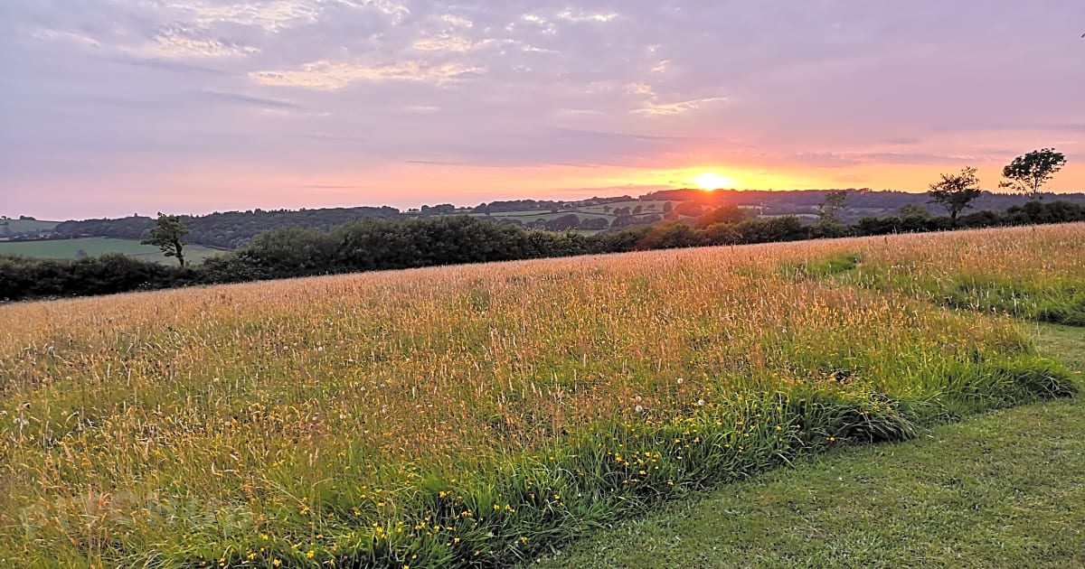 South Town Farm, Barnstaple Updated 2021 prices Pitchup®