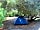 Camping Internazionale Castelfusano: Tent under the oaks