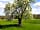 Luxury Camping at Woodhouse Farm: Pear tree next to Pear Trees safari tent (photo added by manager on 11/03/2022)