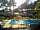 Parque Orbitur Valado: By the pool