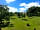 Huntstile Organic Farm: View from the bell tent