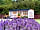 Ockeridge Rural Retreats
