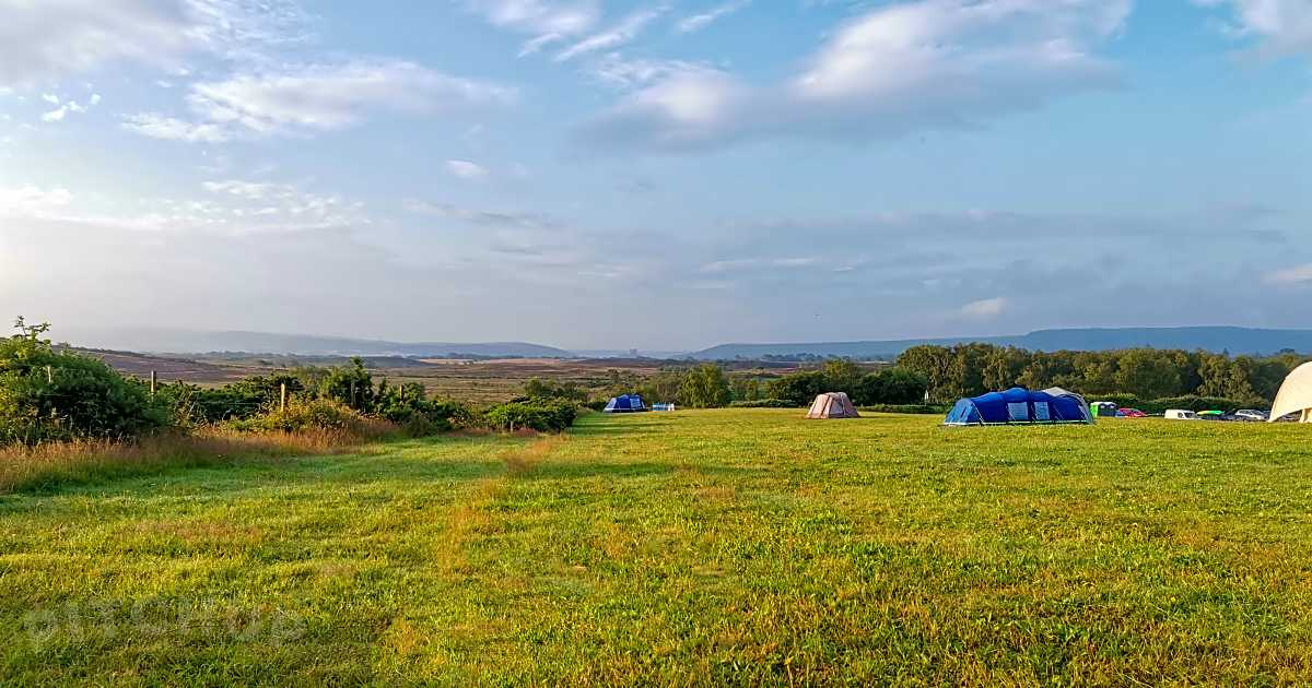Knoll Farm Campsite, Wareham