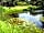 Tents on The Went: Fishing in the pond