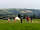 Glampio Cowin: Guests playing cricket