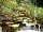 Acorn Camping and Glamping: One of the wildlife ponds